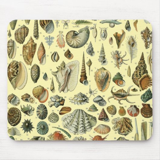 Seashell Muschel Mollusk Clam Mousepad (Vorne)