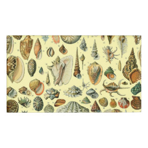 Seashell Muschel Mollusk Clam Namenschild