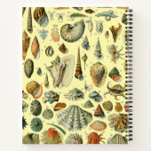 Seashell Muschel Mollusk Clam Notizblock (Rückseite)