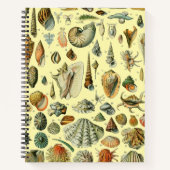 Seashell Muschel Mollusk Clam Notizblock (Vorderseite)