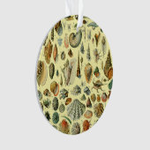 Seashell Muschel Mollusk Clam Ornament (Vorderseite)