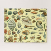 Seashell Muschel Mollusk Clam Puzzle (Horizontal)