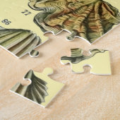 Seashell Muschel Mollusk Clam Puzzle (Seite)
