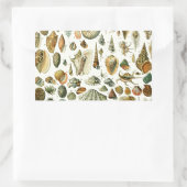 Seashell Muschel Mollusk Clam Rechteckiger Aufkleber (Tasche)