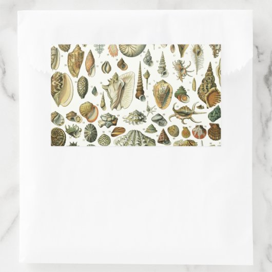 Seashell Muschel Mollusk Clam Rechteckiger Aufkleber (Tasche)