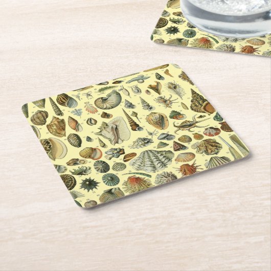 Seashell Muschel Mollusk Clam Rechteckiger Pappuntersetzer (angewinkelt)