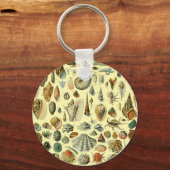 Seashell Muschel Mollusk Clam Schlüsselanhänger (Vorderseite)