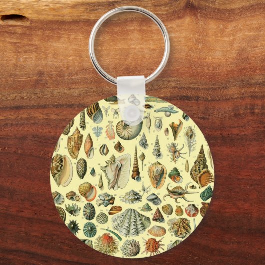 Seashell Muschel Mollusk Clam Schlüsselanhänger (Vorderseite)