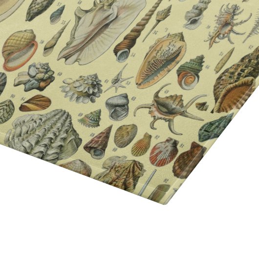 Seashell Muschel Mollusk Clam Schneidebrett (Ecke)