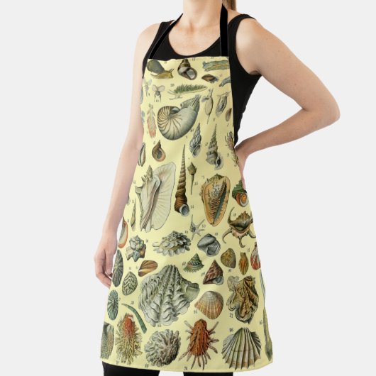 Seashell Muschel Mollusk Clam Schürze (InSitu)