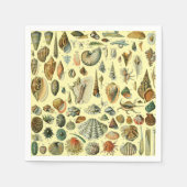 Seashell Muschel Mollusk Clam Serviette (Vorderseite)