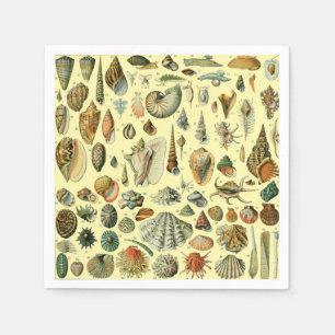 Seashell Muschel Mollusk Clam Serviette