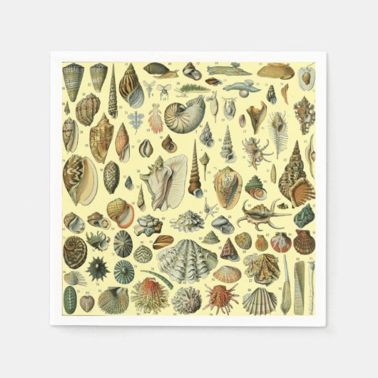 Seashell Muschel Mollusk Clam Serviette (Vorderseite)