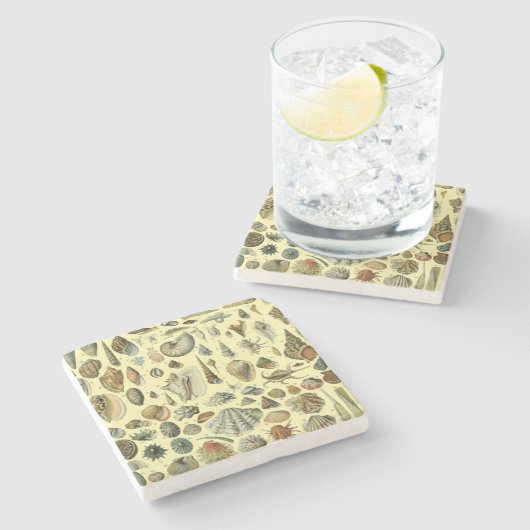 Seashell Muschel Mollusk Clam Steinuntersetzer (Seitenansicht)