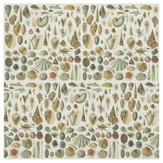 Seashell Muschel Mollusk Clam Stoff (Muster)
