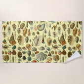 Seashell Muschel Mollusk Clam Strandtuch (Vorderseite)