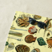 Seashell Muschel Mollusk Clam Strandtuch (Beispiel)