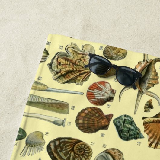 Seashell Muschel Mollusk Clam Strandtuch (Beispiel)