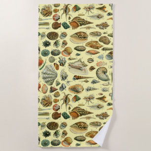 Seashell Muschel Mollusk Clam Strandtuch