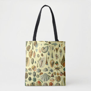 Seashell Muschel Mollusk Clam Tasche
