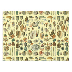 Seashell Muschel Mollusk Clam Tischdecke