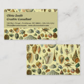 Seashell Muschel Mollusk Clam Visitenkarte (Vorne/Hinten)