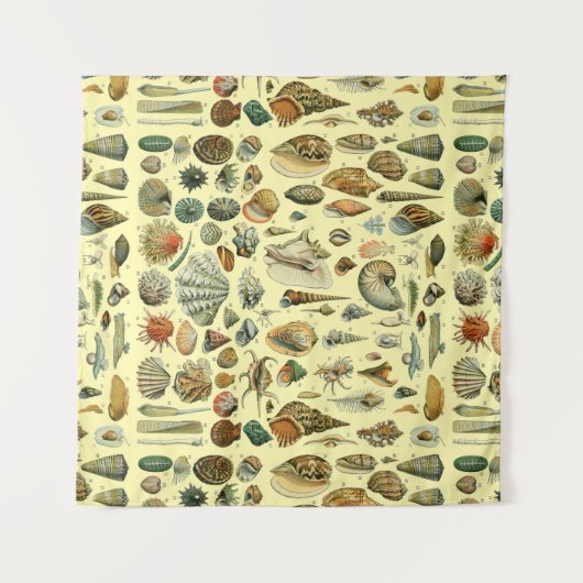 Seashell Muschel Mollusk Clam Wandteppich (Vorderseite (Horizontal))