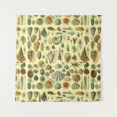 Seashell Muschel Mollusk Clam Wandteppich (Vorderseite)