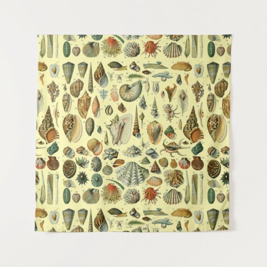 Seashell Muschel Mollusk Clam Wandteppich (Vorderseite)