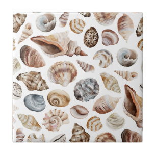 Seashell-Muster Fliese