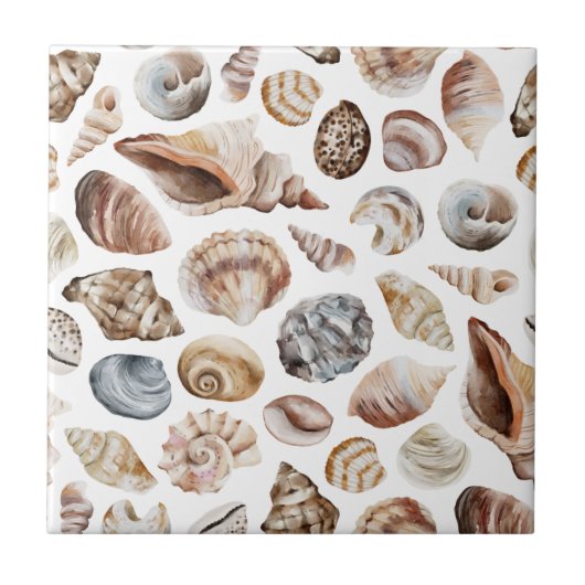 Seashell-Muster Fliese (Vorderseite)