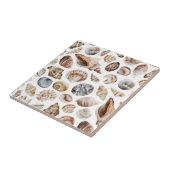 Seashell-Muster Fliese (Seite)