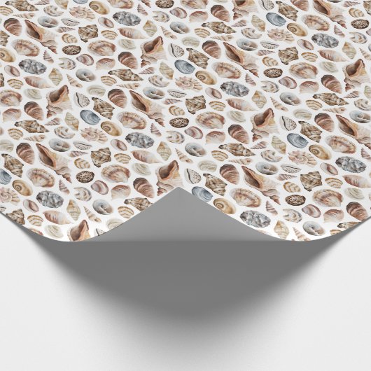 Seashell-Muster Geschenkpapier (Ecke)
