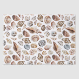 Seashell-Muster Seidenpapier