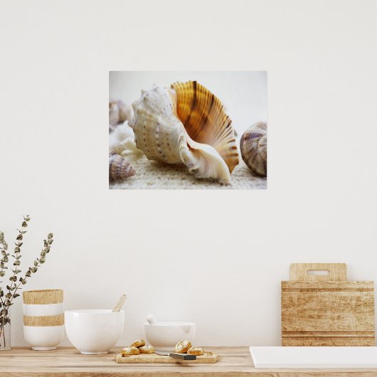 Seashell, Nautical, Beach, Summer, Custom Poster (Küche)