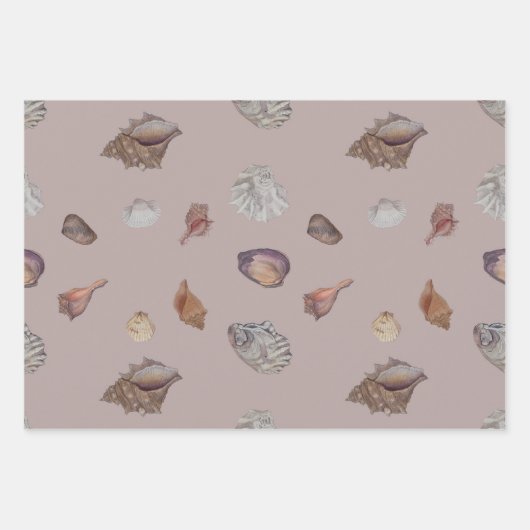 Seashell-neutrale Töne Geschenkpackung Geschenkpapier Set (Vorderseite)