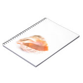 Seashell Notizblock (Linke Seite)