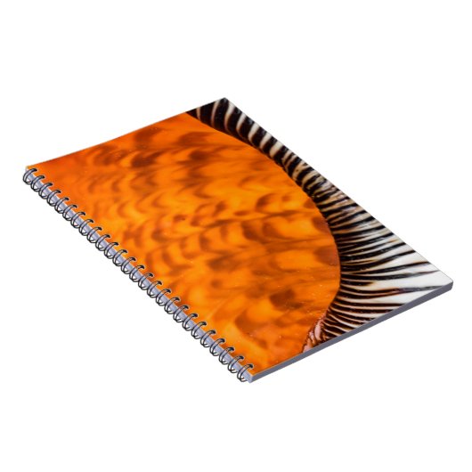 Seashell Notizblock (Rechte Seite)