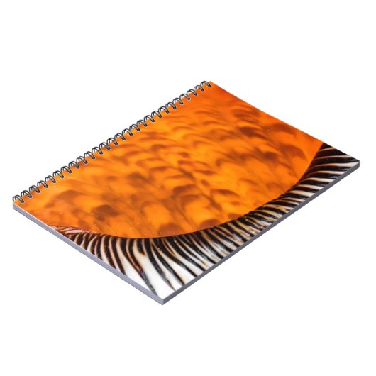 Seashell Notizblock (Linke Seite)