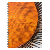 Seashell Notizblock (Vorderseite)