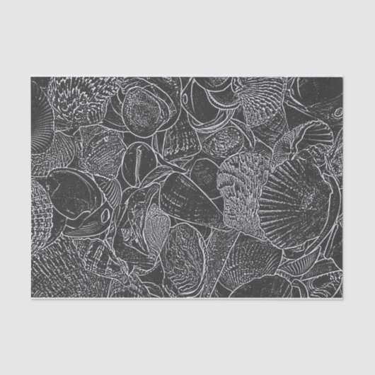 Seashell Ocean Beach Schwarz-Weiß-Skizze Kunst Seidenpapier (Vorderseite)