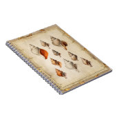 Seashell of the Deep Notizblock (Rechte Seite)