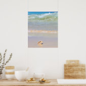 Seashell on Beach | Cabo Verde Poster (Küche)