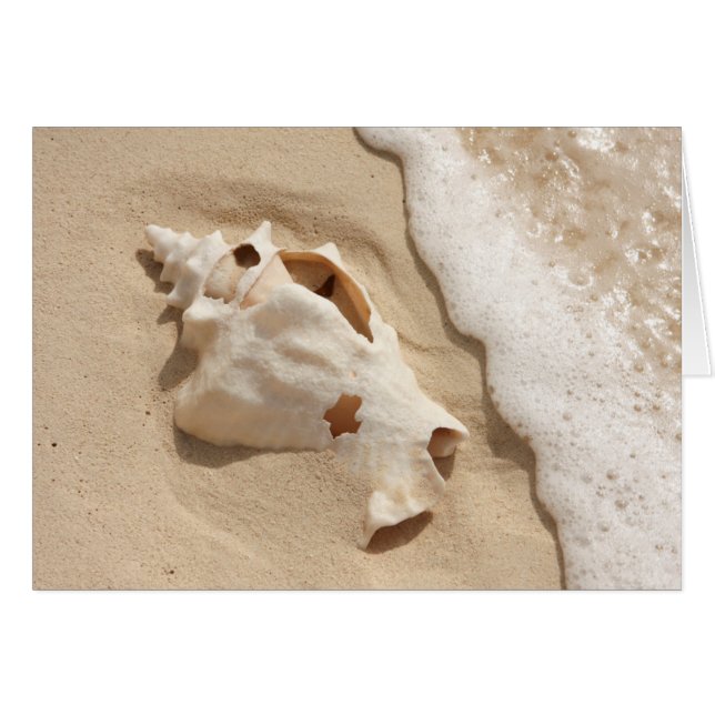 Seashell on Beach | Grand Turm Karibik Island (Vorderseite (Horizontal))