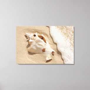 Seashell on Beach   Grand Turm Karibik Island Leinwanddruck