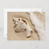 Seashell on Beach | Grand Turm Karibik Island Postkarte (Vorne/Hinten)