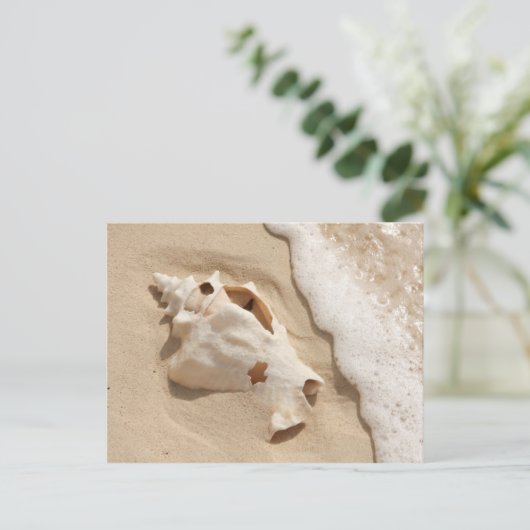 Seashell on Beach | Grand Turm Karibik Island Postkarte (Stehend Vorderseite)