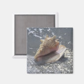 Seashell on Beach | Insel Sanibel, Florida Magnet (Vorderseite/Rückseite)