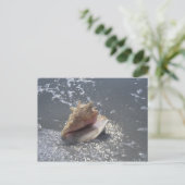 Seashell on Beach | Insel Sanibel, Florida Postkarte (Stehend Vorderseite)