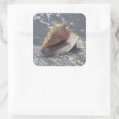 Seashell on Beach | Insel Sanibel, Florida Quadratischer Aufkleber (Tasche)